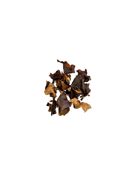 Hirneola polytricha) est un champignon gélatineux comestible. Champignons noirs Conditionnement 50g