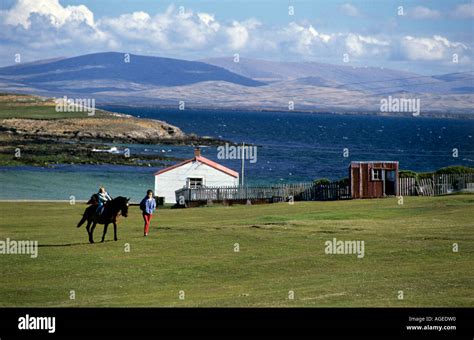 Pebble Island Falkland Islands Stock Photo Alamy