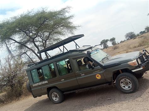 African Diurnal Safaris And Tours Mwanza 2023 Alles Wat U Moet Weten