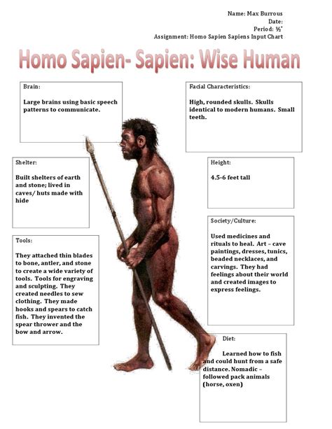 Master Homo Sapien Sapiens Detailed Input Homo Sapiens Paintings