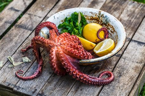 Ottima anche per riciclare questo (o altri tipi di pesce) avanzati queste polpettine sono ideali sia per un antipasto che per un secondo piatto. 10 ricette facili e veloci con il polpo