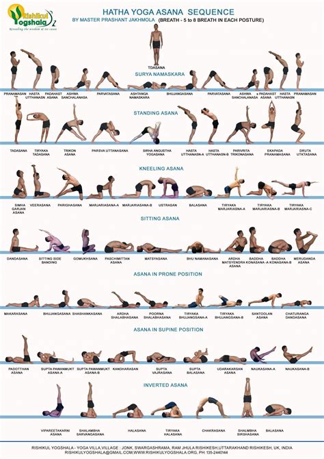 Hatha Yoga Primary Series Infographic Yoga Poses Yoga Benefits Yoga