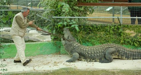 Crocodile Park in Torremolinos - Zoo in Spain