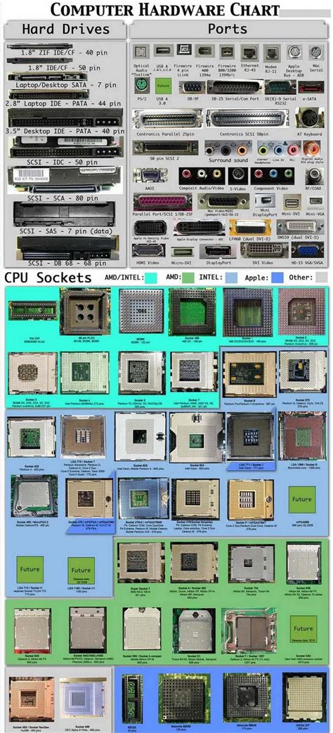 The computer on your office desk consists of several main parts, including a microprocessor, memory and a hard drive. meansofmine11.jpg (727×1600) | Computer hardware, Computer ...