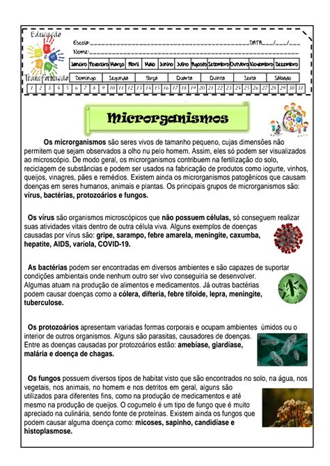 Avaliação De Ciências Microorganismo 4 Ano