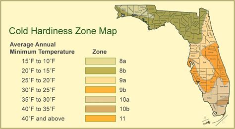 It's easy, you can use your zip code, geolocation (with gps), or click on a location on the map manually. Cold hardiness in Florida | Map of florida, Florida ...