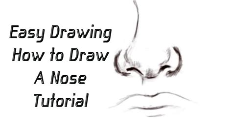3/4 view or angle means that the face is turned slightly to the side, but not all the way. How to Draw a Nose using guidelines | YZArts | YZArts ...