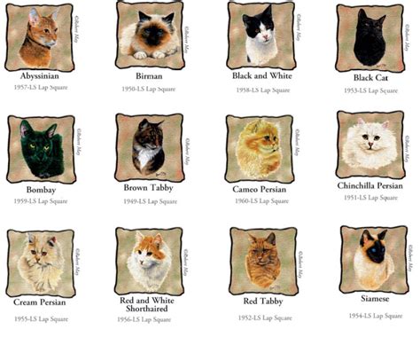 All Cat Breeds A Z With Pictures Cat Lover Cat Training