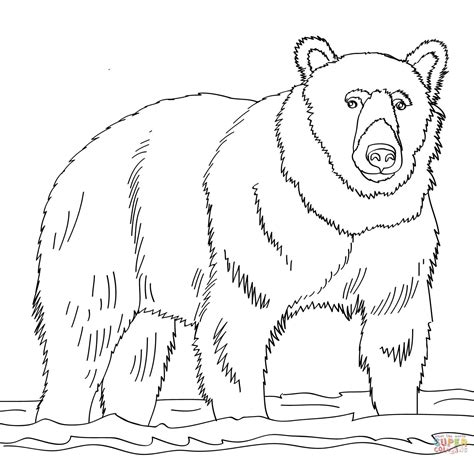 Brown Bear Printables - Coloring Home