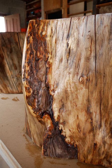 Check spelling or type a new query. DIY Tree Stump Side Tables | Tree stump side table, Tree ...