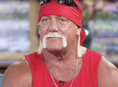 Inside The Life Of Wwe Superstar Hulk Hogan Biography Net Worth And More Brief Intro