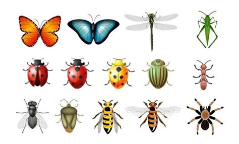 animais invertebrados para imprimir imagem de animais invertebrados para imprimir ~ imagens para
