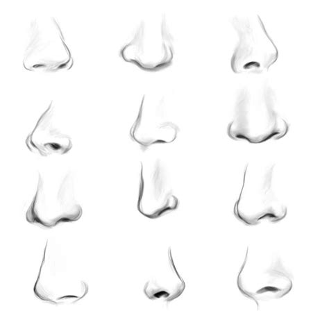 Drawing Ideas Easy Nose - Alesia Grills gambar png