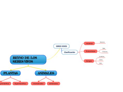 C Lulas De Los Seres Vivos Mind Map The Best Porn Website