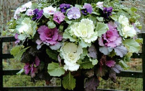 10 Winter Hanging Basket Ideas For An Evergreen Look Garden Patch