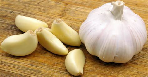 Dengan memanfaatkan khasiat dari bawang putih, peredaran darah akan lebih lancar secara alami. Luar Biasa Manfaat Makan 1 Siung Bawang Putih Setiap Pagi ...