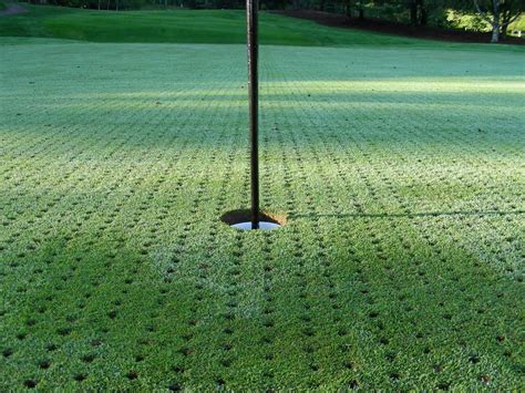 Aerated Greens Why Courses Do It And How To Survive Playing On Them