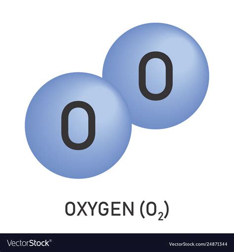 The Molecular Formula Oxygen Royalty Free Vector Image