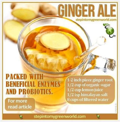 Ginger Ale Benefits Healthy Tips Healthy Choices Healthy Eating