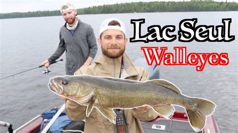 Giant Lac Seul Walleyes Youtube