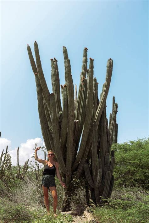 Roadtrip Durch Den Arikok Nationalpark In Aruba