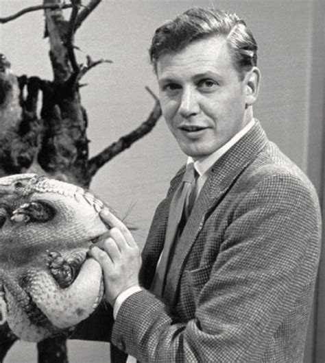 Sir David Attenborough In His Youth David Attenborough Old Tv Shows