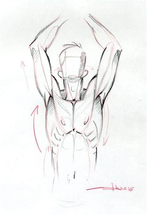 Pin By Berger King On Raised Arm Poses In Anatomy Art Human