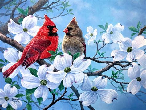 Spring Cardinals Blossoms Birds Tree Artwork Painting Hd