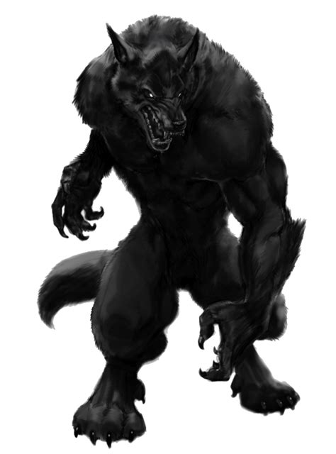 Werewolf Png Transparent Image Download Size 687x929px