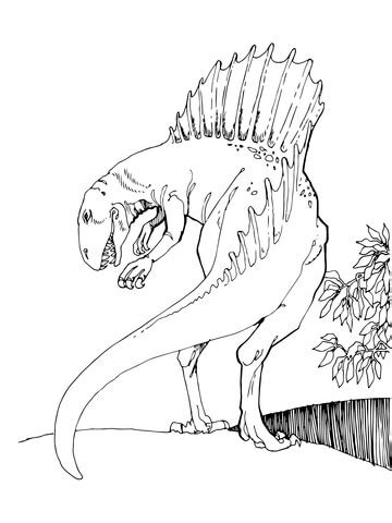 Jurassic world coloring pages are a fun way for kids of all ages to develop creativity, focus, motor skills and color recognition. Spinosaurus Theropod Dinosaur coloring page ...