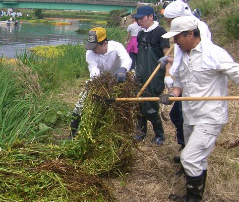 Последние твиты от ケイン・ヤリスギ「♂」 (@kein_yarisugi). 土地改良区の活動の大切さをもっと広めたい：農林水産省