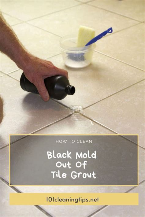 How To Clean Black Mold Out Of Tile Grout Clean Black Mold Tile