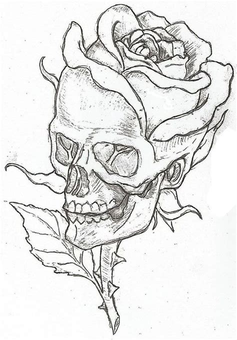 Easy Skull Drawings With Roses Draw Felch
