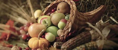 Check spelling or type a new query. Thanksgiving Safety Tips - Village of Barrington Hills