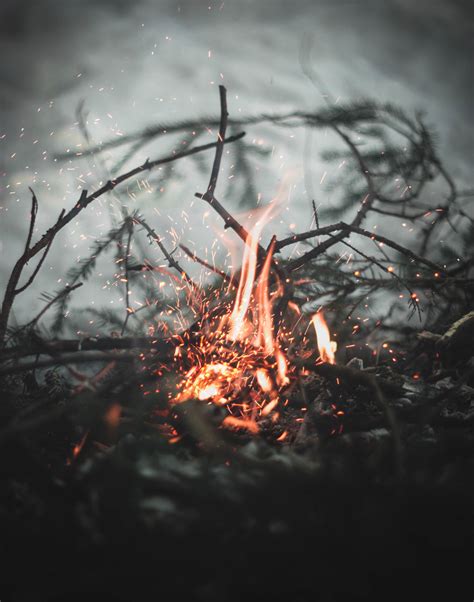 Download Wallpaper 2836x3604 Bonfire Sparks Fire Branches Blur Hd