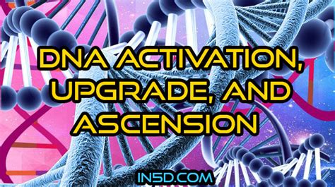Dna Activation Upgrade And Ascension In5d