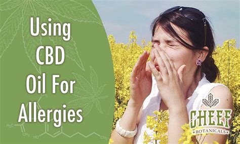 Why Use Cbd Oil For Allergies Has Been Proven To Work Cheef Botanicals