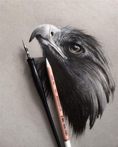 Stunning Animals Realistic Pencil Drawing By Jonathan Martinez