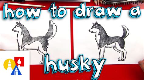 How To Draw A Husky Pawbuzz