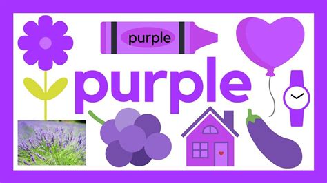 Purple Learn About Colors The Color Purple Learning Colors Run