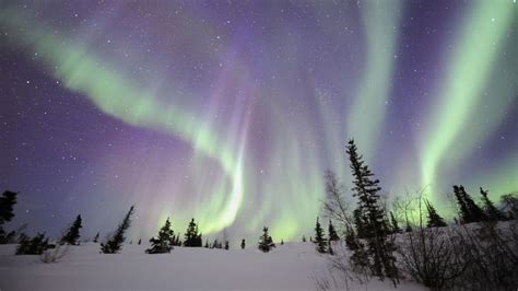 Aurora Borealis Northern Lights Snow Winter Night Stars Hd