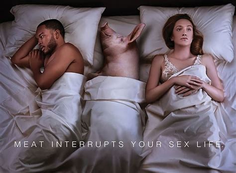 Dont Miss Petas Cheeky New Ads That Warn Drivers Meat Interrupts