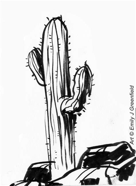 Saguaro Cactus Drawing At Getdrawings Free Download