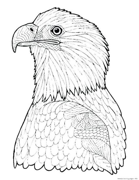 Bald Eagle Coloring Pages | Animal coloring pages, Animal coloring