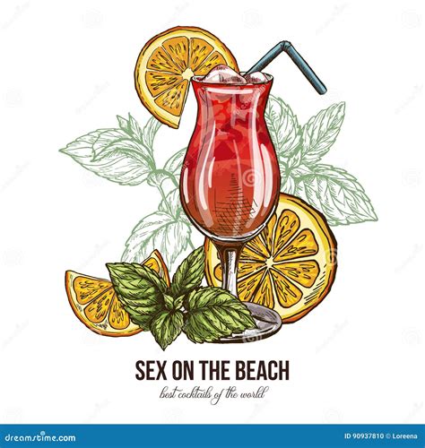 sex on the beach cocktail with mint and orange`s slices stock vector illustration of lemon
