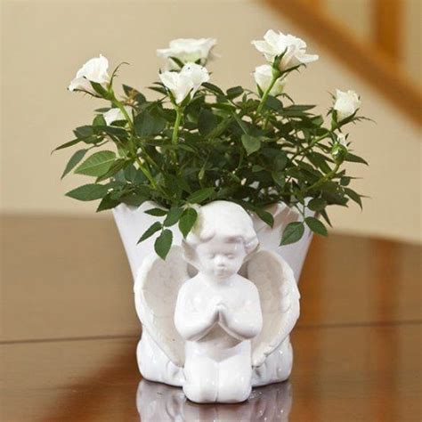 Crystals are a beautiful bereavement gift and can be chosen for a particular area of focus. Introducing Mini White Rose in Angel Container Beautiful ...