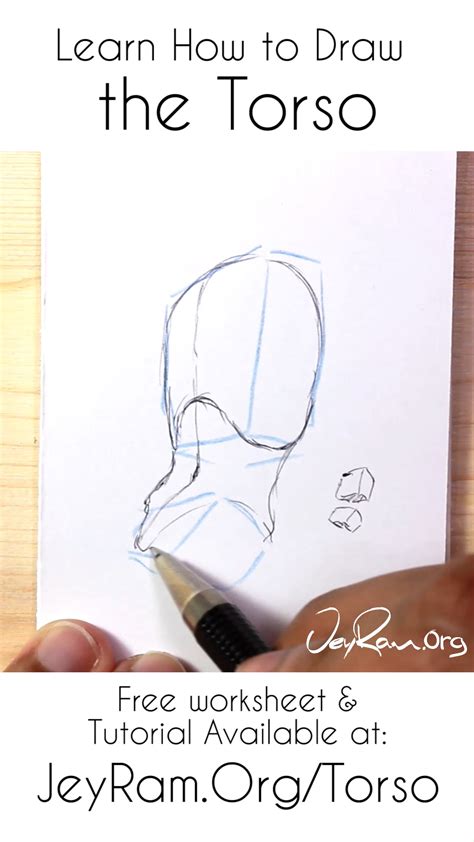 How To Draw The Torso Step By Step Tutorial Artofit