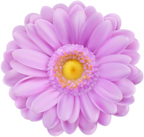 Flower floral design euclidean illustration, ink purple flowers border background, purple petaled flowers illustration png clipart. Soft Purple Flower Transparent PNG Clip Art | Gallery ...