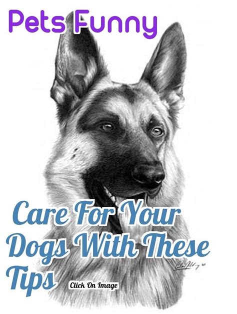 Great Tips About Dogs That Anyone Can Use Check Out The Image By