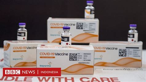 Vaksin Kelompok Usia Tahun Didahulukan Bagaimana Dengan Lansia